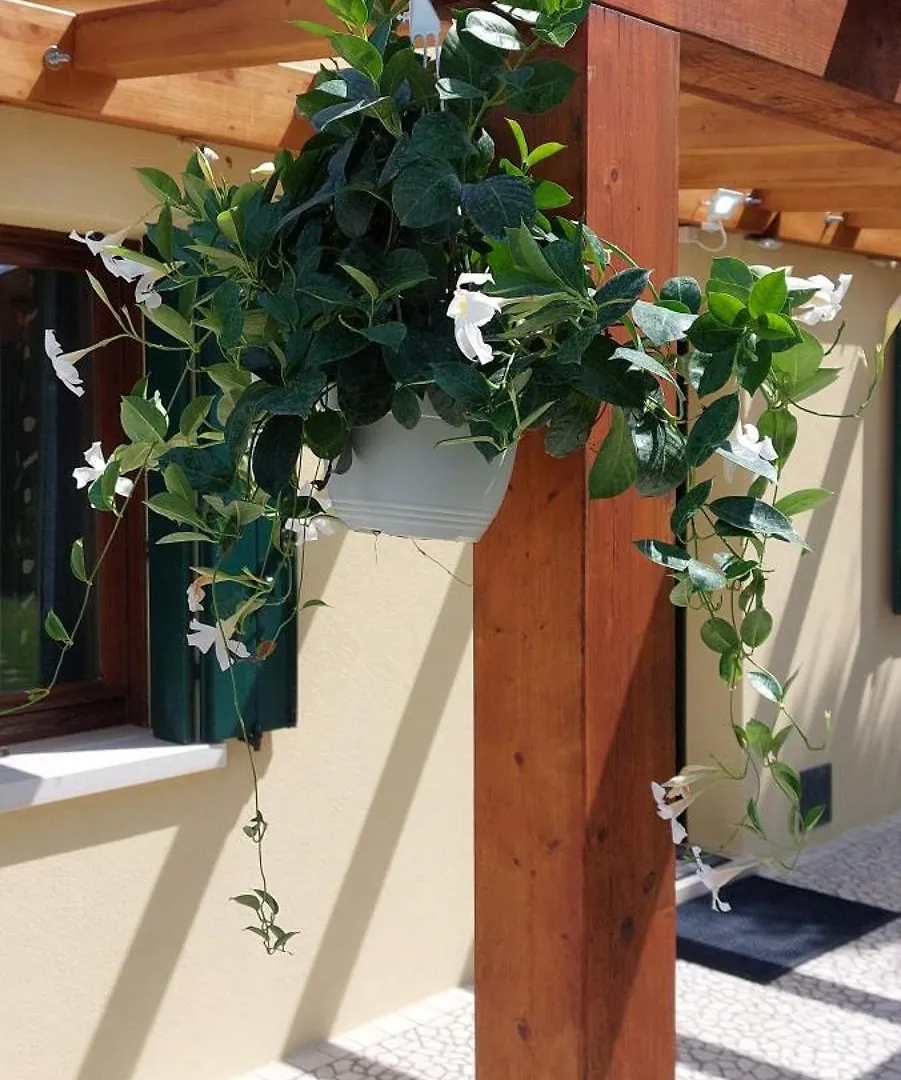 Ca' Svizzero Villa Cavallino-Treporti Holiday home