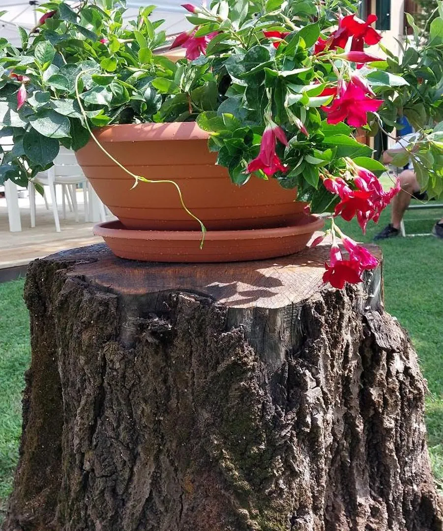 Holiday home Ca' Svizzero Villa Cavallino-Treporti